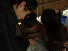 発光実験3